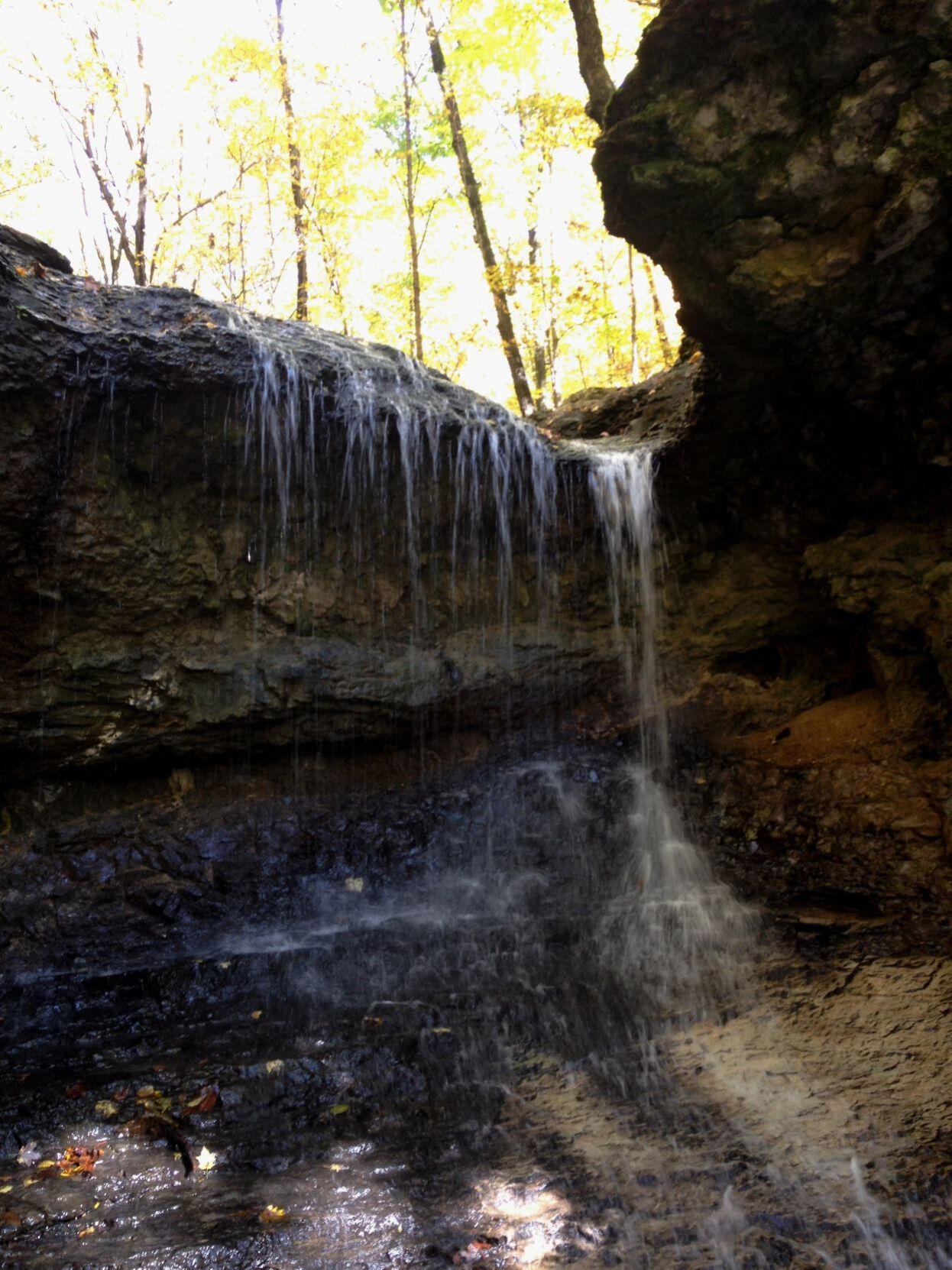 The Nature Institute in Godfrey — Beaver Falls